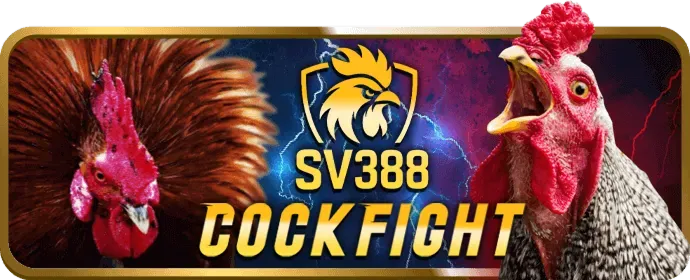 Cấp Độ Thường ball88
